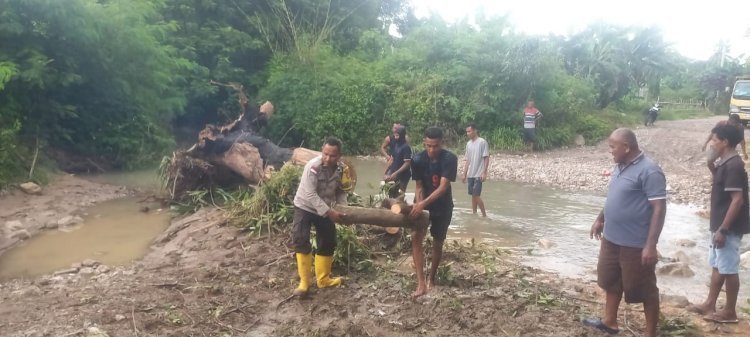 Akses Jalan Sulamu–Kupang Sempat Terhambat Pohon Tumbang, Kapolda NTT Apresiasi Gerak Cepat Bhabinkamtibmas Desa Pariti dan Peran Aktif Masyarakat