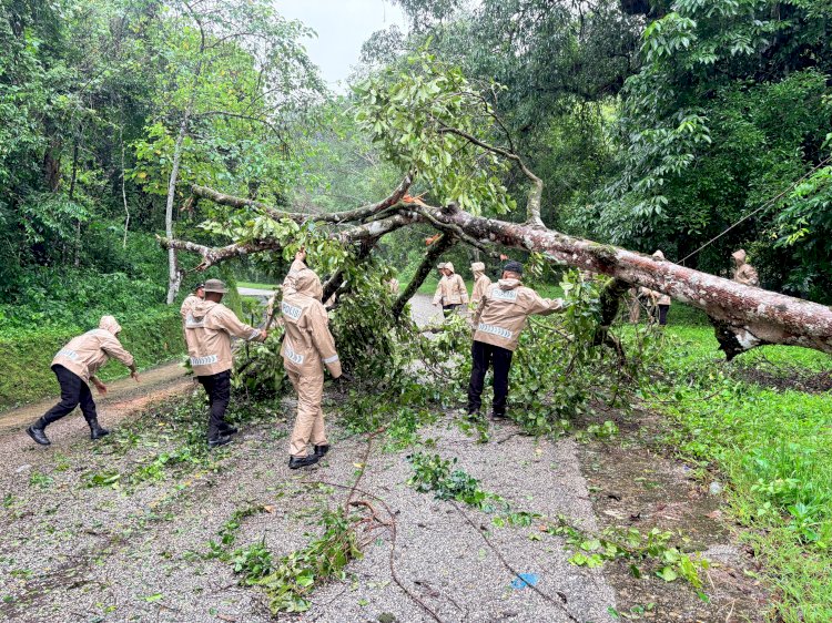 Polri Hadir untuk Masyarakat, Brimob Polda NTT Bersihkan Pohon Tumbang di Jalur Tanadaro