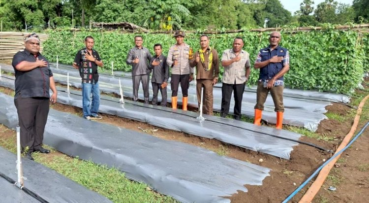 Sulap Lahan Pasir Jadi Sentra Hortikultura, DPRD TTS Turun Tangan Dukung Program Pekarangan Pangan Bergizi Polsek Kualin, Kapolda NTT Beri Apresiasi