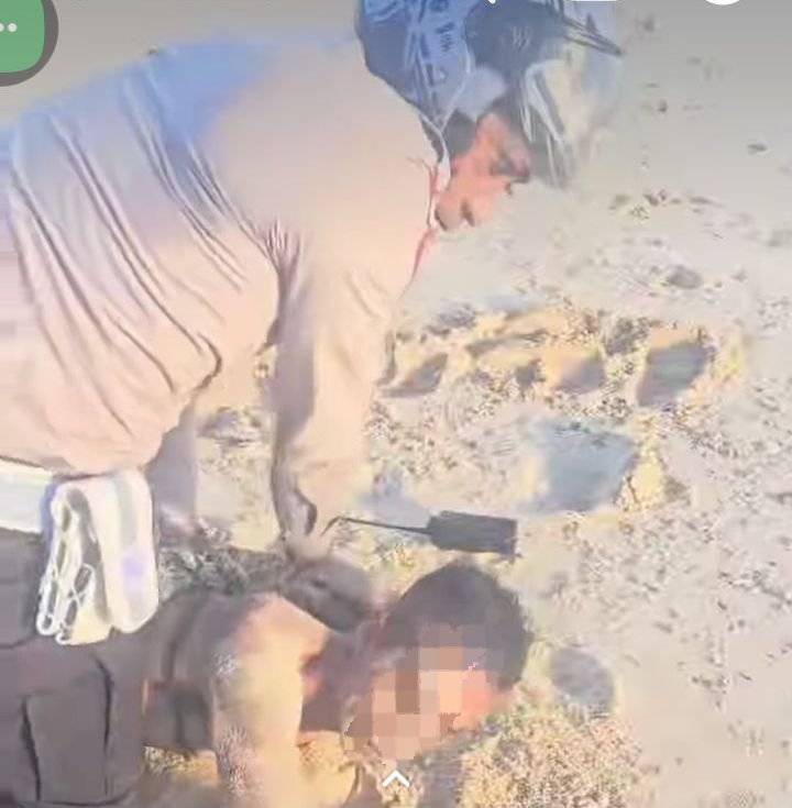 Aksi Heroik Polisi di Kupang: Pelaku Pencurian Helm Dibekuk Usai Nekat Lompat ke Laut