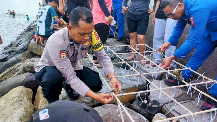 Bhabinkamtibmas Polres Flores Timur Bersama Warga Tanam Terumbu Karang di Pesisir Pantai Tuan Ma