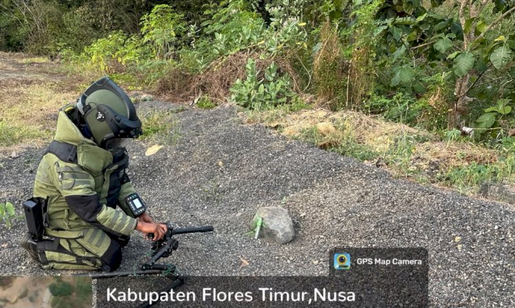 Jaga Keselamatan Warga, Tim Jibom Brimob Polda NTT Musnahkan Tiga Bom Pipa Rakitan di Flores Timur