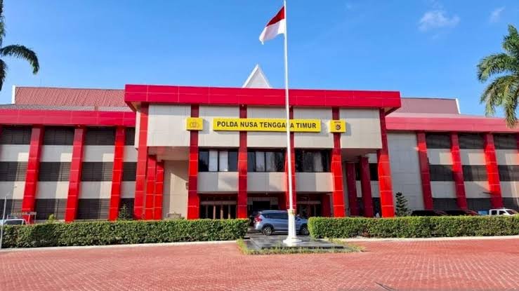 Polda NTT Dalami Dugaan Penyimpangan Kuota Sapi di TTS, Penyidik Masih Kumpulkan Fakta Hukum