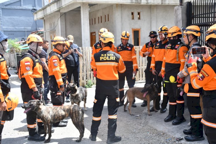 Tim K-9 SAR Polri Sisir Lokasi Gempa di Reo, Pastikan Pencarian Korban Berjalan Aman dan Terukur
