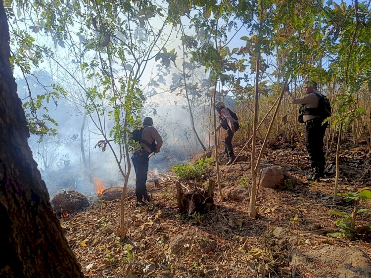 Gerak Cepat Polres TTU Padamkan Karhutla di Hutan Keun, Warga Diimbau Waspadai Titik Api