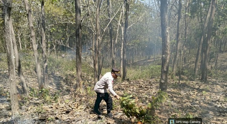 Gerak Cepat Polres Malaka Padamkan Titik Api di Hutan Kateri, Cegah Karhutla Meluas