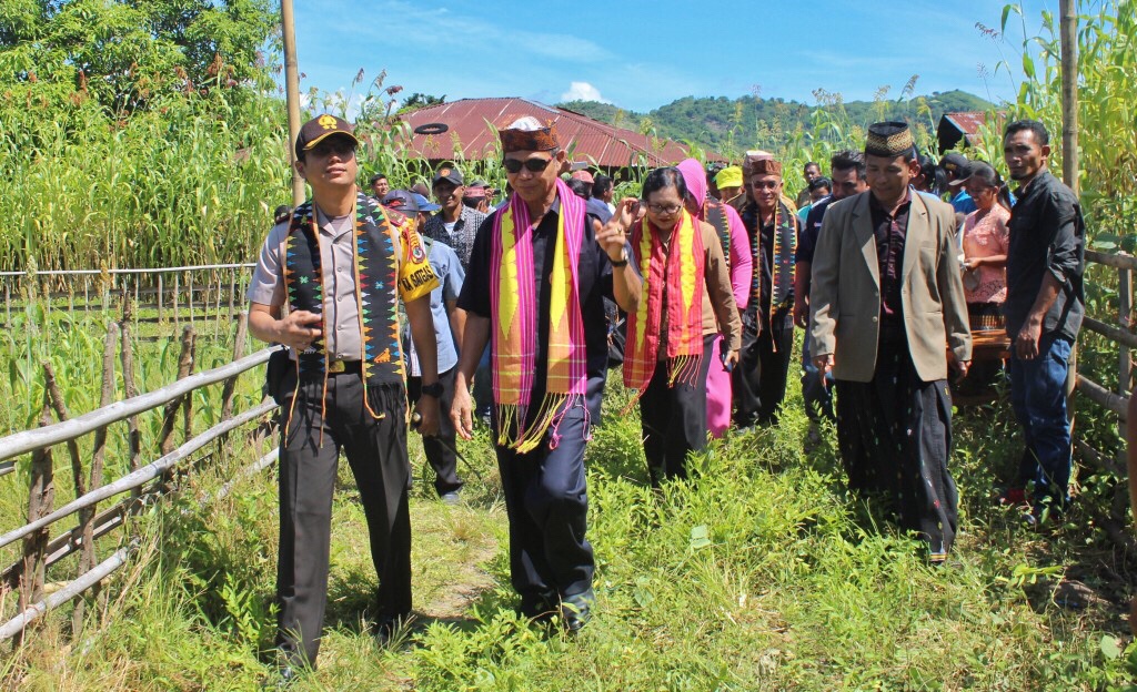 Kapolres Mabar Turut Dalam Kagiatan Panen Simbolis Sorgum