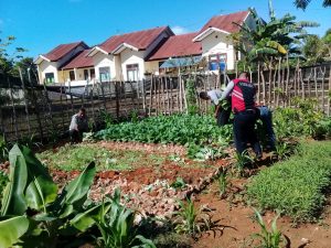 Sayur Gratis untuk warga dari Polsek Rote Selatan