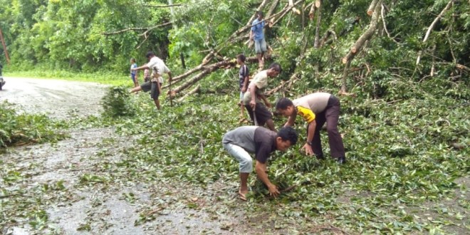 Brigpol Tawaf Bersama Warga Desa Bersihkan Pohon Tumbang yang Menutup Jalan Trans Sumba