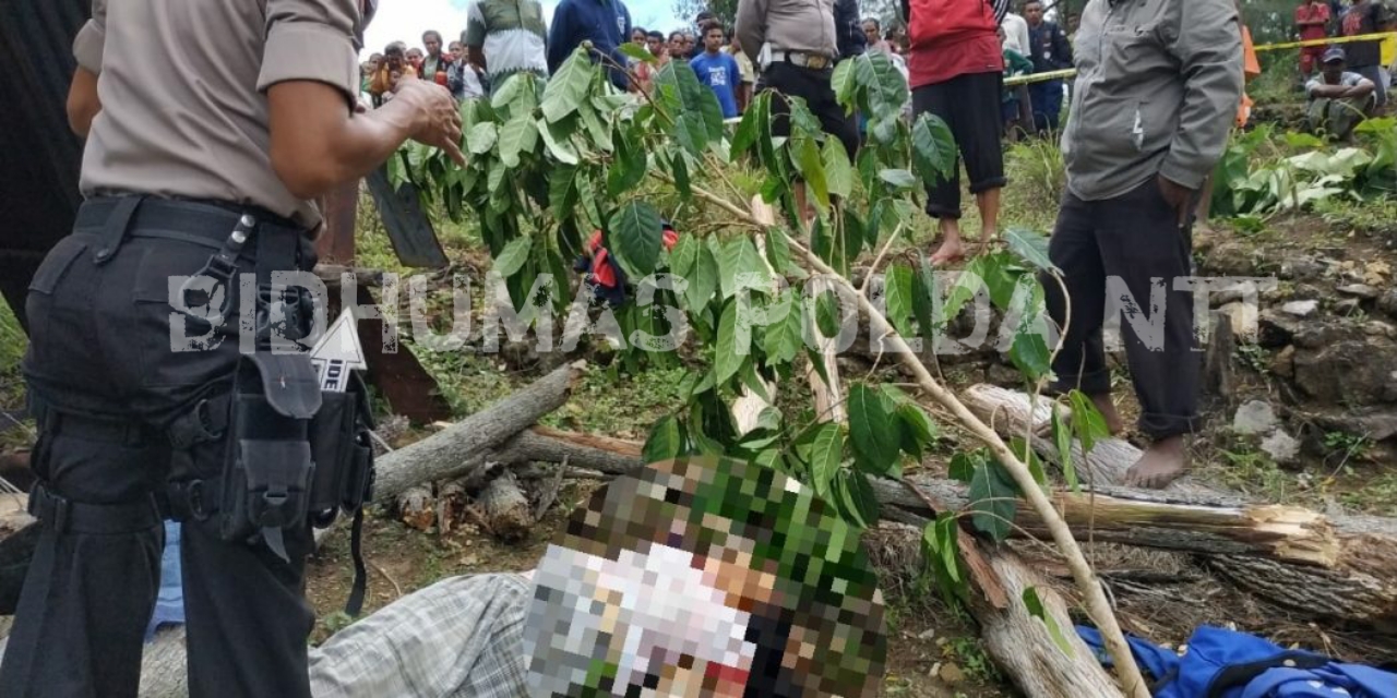Personel Polsek Miomaffo Barat Evakuasi Korban Tertimpa Pohon di Desa Noepasu