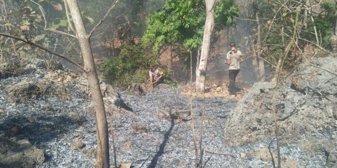 Anggota Polsek Rote Tengah Berhasil Padamkan Kebakaran Lahan