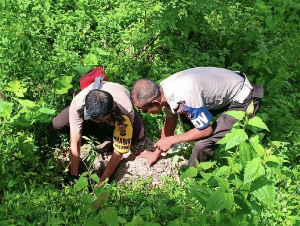 Peduli Penghijauan, Kapolsek Wewewa Selatan Pimpin Penanaman Anakan Pohon